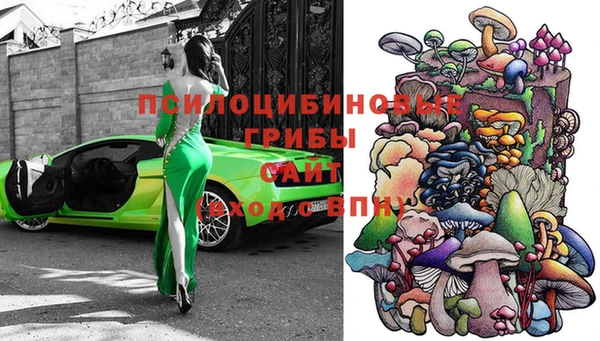бошки Краснослободск