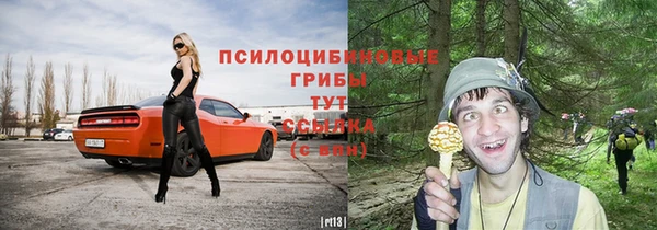 бошки Краснослободск