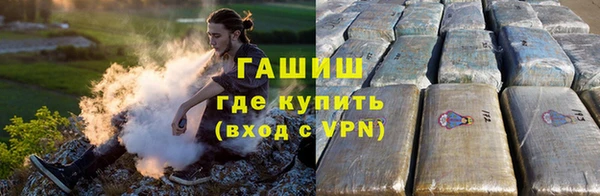 прущие грибы Пересвет