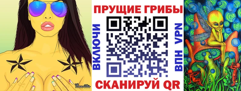 мега зеркало  магазин продажи наркотиков  Кунгур  Галлюциногенные грибы MAGIC MUSHROOMS 